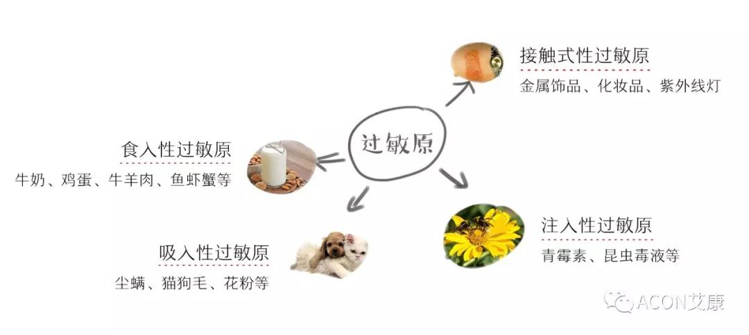 APAAACI 2019 | 深入解讀過敏原：從診斷到治療，優(yōu)化過敏原診斷管理——艾康生物過敏原檢測分會
