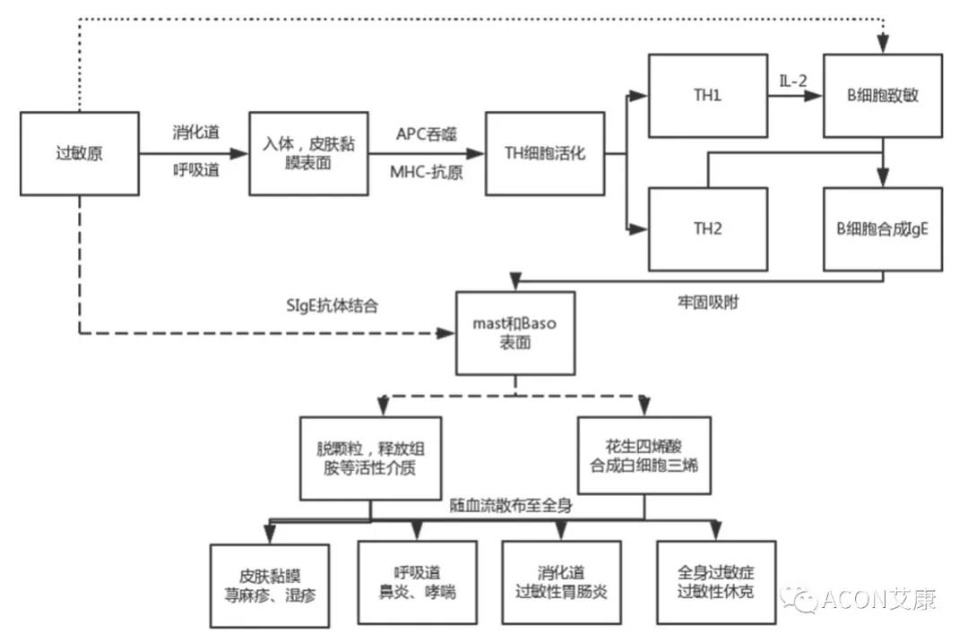 APAAACI 2019 | 深入解讀過敏原：從診斷到治療，優(yōu)化過敏原診斷管理——艾康生物過敏原檢測分會