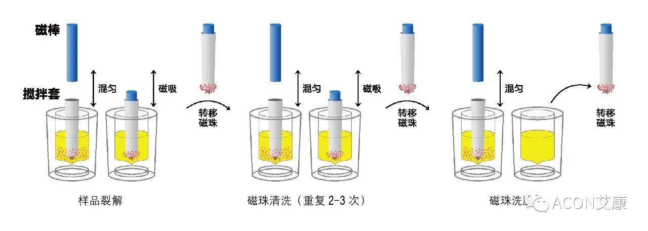 Promotor?核酸提純儀， 讓基因提純更便捷。
