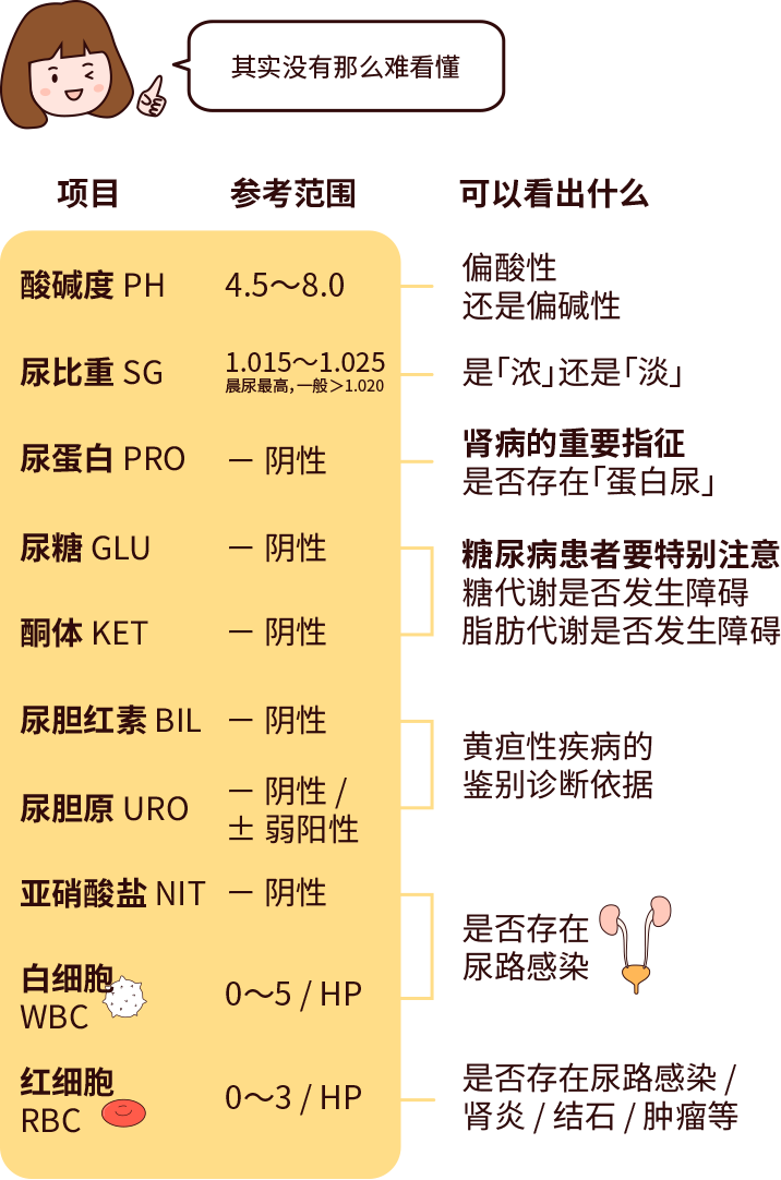 排尿黃、異味大，可能是身體在報警！